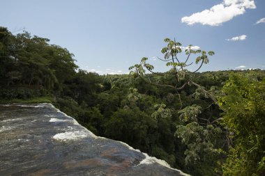 Vahşi doğa. Iguazu 'nun manzarası ormana düşüyor. Uçurum, düşen su ve Iguazu Ulusal Parkı 'ndaki yeşil yemyeşil bitki örtüsü.. 