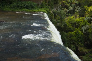 Iguazu Misiones, Arjantin 'e düşüyor. San Martin sonbahar manzarası. Şelalenin beyaz suyu kayalık uçurumdan ormana düşüyor..