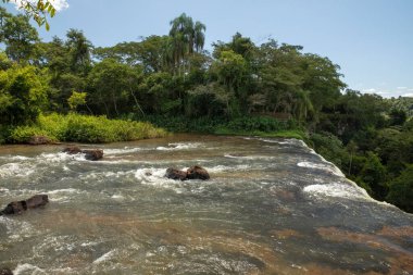 Vahşi doğa. Iguazu 'nun manzarası ormana düşüyor. Uçurum, düşen su ve Iguazu Ulusal Parkı 'ndaki yeşil yemyeşil bitki örtüsü..
