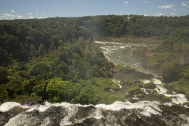 Iguazu yeşil ormandaki uçuruma düşüyor. Kayalık nehir yatağı, dökülen sular ve çağlayanlar, arka planda yeşil tropikal ormanlar.