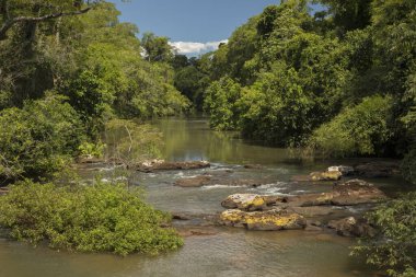 Çevresel koruma. Iguazu nehri yeşil tropikal ormanın içinden akıyor..