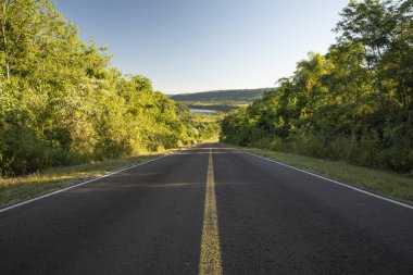 Özgürlük için. Yeşil tropikal yağmur ormanları boyunca asfalt yolu manzarası. 