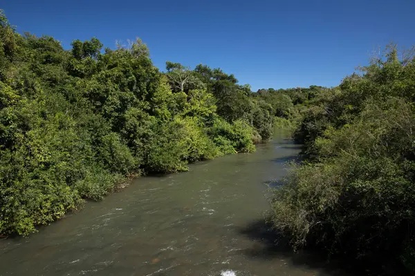 stock image The Iguazu river and shoreline flowing across the green tropical forest in a sunny day. 