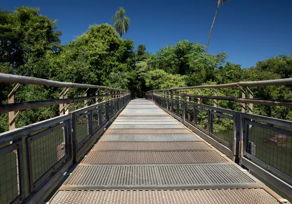 stock image The wooden bridge over the river. View of the empty boardwalk into the green jungle in Iguazu national park in Misiones, Argentina.