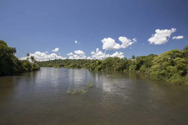 stock image The river flowing across the jungle. Beautiful green foliage vegetation in the jungle.