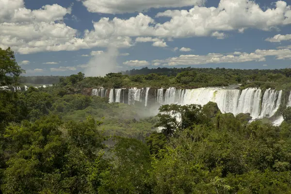 Iguazu ormana düşer. Arjantin, Misiones, Iguazu Ulusal Parkı 'ndaki tropikal yağmur ormanlarından akan beyaz su manzarası. Şelaleler ve yemyeşil bitkiler..