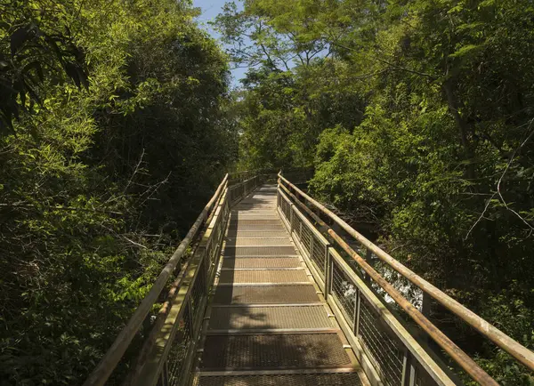 stock image The wooden bridge over the river. View of the empty boardwalk into the green jungle in Iguazu national park in Misiones, Argentina.