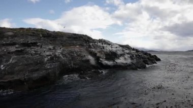 Patagonya 'da gemiyle seyahat etmek. Beagle Kanalı okyanusunda kayalık bir ada manzarası. İmparatorluk karabatak kuşları gün batımı gökyüzünün altında yuva yapar ve adanın etrafında uçar.