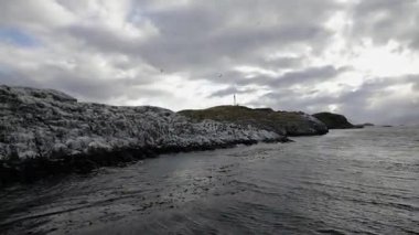 Patagonya 'da gemiyle seyahat etmek. Beagle Kanalı okyanusunda kayalık bir ada manzarası. İmparatorluk karabatak kuşları gün batımı gökyüzünün altında yuva yapar ve adanın etrafında uçar.