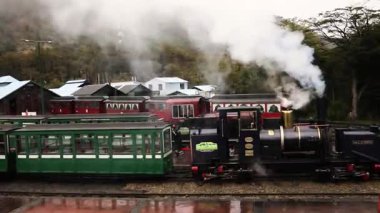 Tierra del Fuego, Arjantin 04,25,2025: İstasyonda park halindeki popüler Austral Fueguino buhar lokomotifi ve yeşil vagonların görüntüsü. Demiryolundan beyaz buhar çıkıyor. Arka taraftaki yeşil orman.