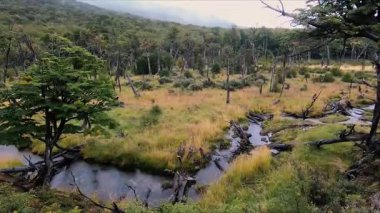 Patagonya vahşi doğasında yağmur yağıyor. Yağmurlu bir sabahta Tierra del Fuego Milli Parkı 'nda bulutlu bir gökyüzü ile sarı çayırlarda, vadilerde ve tepelerde akan derenin panorama görüntüsü.