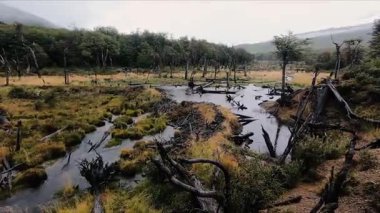 Patagonya vahşi doğasında yağmur yağıyor. Yağmurlu bir sabahta Tierra del Fuego Milli Parkı 'nda bulutlu bir gökyüzü ile sarı çayırlarda, vadilerde ve tepelerde akan derenin panorama görüntüsü.