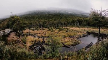 Patagonya vahşi doğasında yağmur yağıyor. Yağmurlu bir sabahta Tierra del Fuego Milli Parkı 'nda bulutlu bir gökyüzü ile sarı çayırlarda, vadilerde ve tepelerde akan derenin panorama görüntüsü.