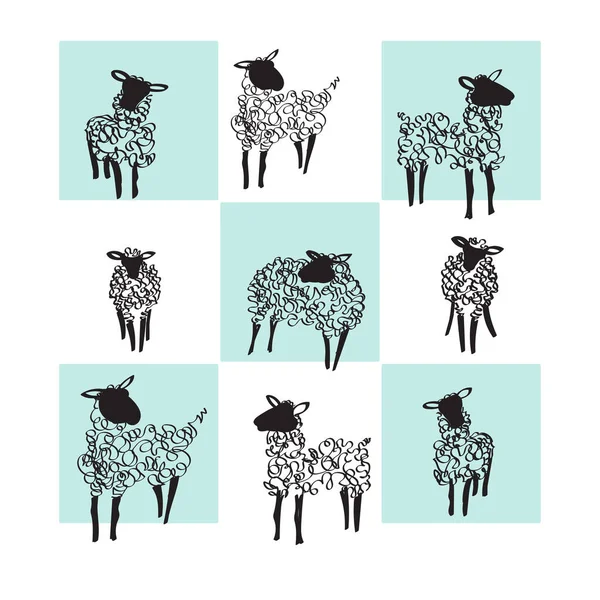 Beyaz ve mavi arka planda koyunlar. Vektör çizimi. Çizgi çizimi el çizimi.