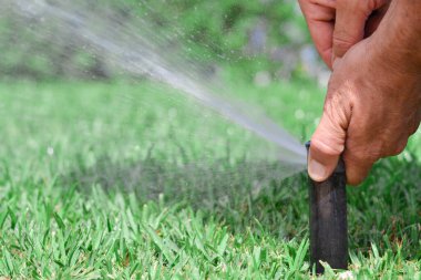 Fıskiyeler çimleri suluyor. Konsept bahçe bakımı