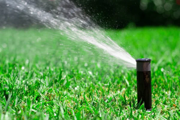 Sprinkler watering the lawn. Concept garden maintenance