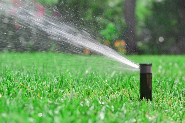 Sprinkler watering the lawn. Garden maintenance concept.
