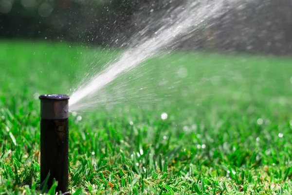 Sprinkler watering the lawn. Concept garden maintenance