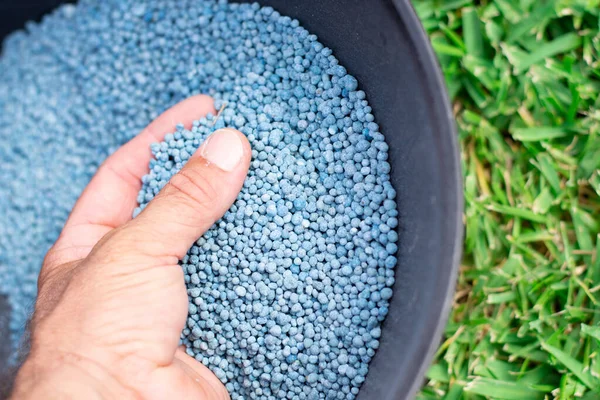 stock image Bucket of blue chemical fertilizer in granular format ready to be applied to garden plants. Garden maintenance concept.