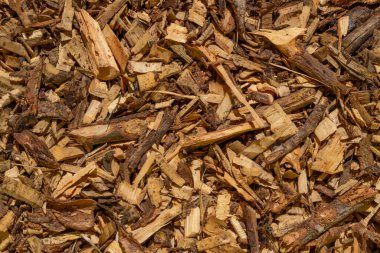 Atık cips buduyorum. Parçalanmış budama kalıntıları. Ekolojik gübre.