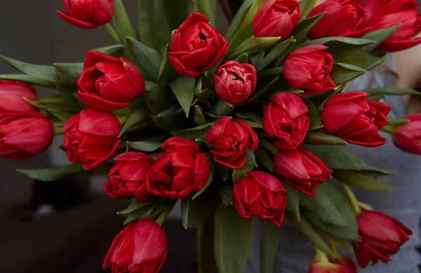 Der Strauß Mit Den Roten Tulpen — Stockfoto