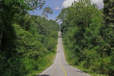 Yoldaki motorcu Tropik Orman