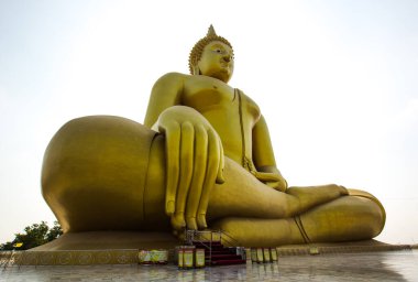 Mavi arkaplanda büyük altın Buda heykelleri