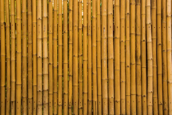 Bambudan Yapılmış Bir Patika — Stok fotoğraf