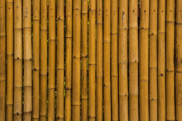 stock image a patition made of bamboo