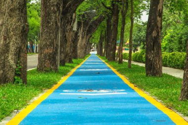 Bangkok 'ta mavi bisiklet yolu