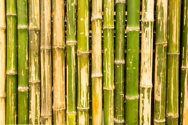 Cerca Bambú Textura Fondo —  Fotos de Stock