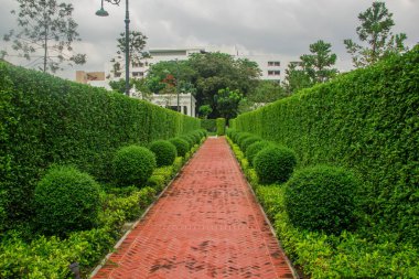 kırmızı kauçuk zemin dokusu çalışma parçasında