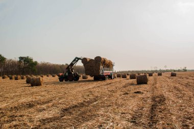 saman balya alanları toplama traktör