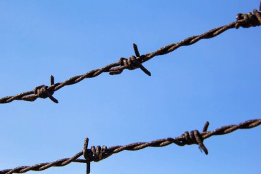 Mavi arka planı olan paslı dikenli tel.