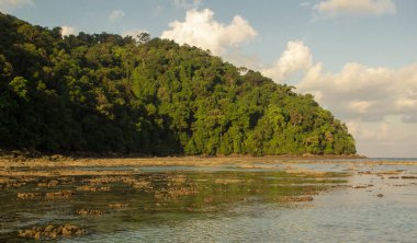 Surin Adası 'ndaki yağmur ormanlarında gün doğumu. Tayland