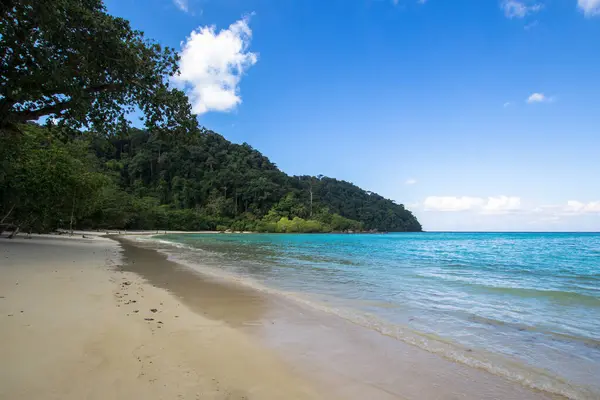 Güzel tropikal sahil Surin Adası, Tayland