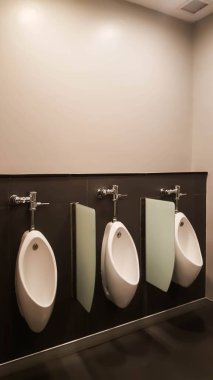 pisuar satır ile modern tuvalet iç