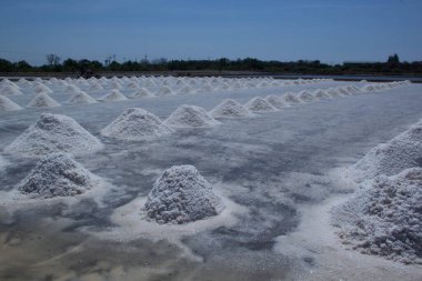 Deniz tuzu tuzlu çiftlikte hasat için hazır yığını