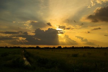 günbatımı gökyüzü karşı yeşil çim alanı.