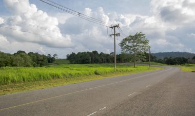 Asfalt yol ve dağ manzarası