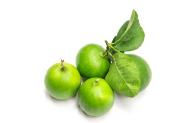 taze limes üzerinde beyaz izole