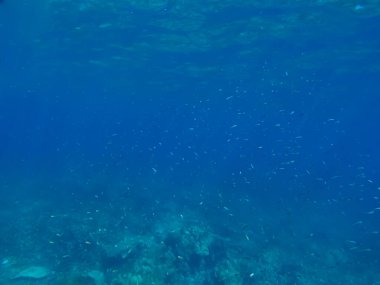 Sualtı arka plan güneş ışını ve su dalgalanma ile