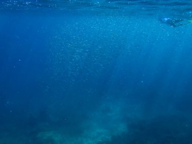 Sualtı arka plan güneş ışını ve su dalgalanma ile