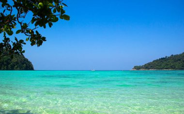 Phang-nga Eyaletindeki Surin adası, ada, thailnad