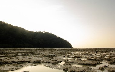 Plajda Tropikal Deniz Günbatımlı Güzel Manzara 