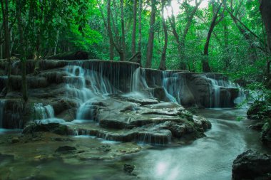 Ormanda güzel bir şelale