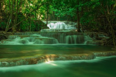 Ormanda güzel bir şelale