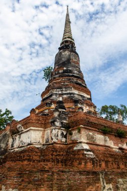 Antik pagoda ayutthaya tarihi park Tayland