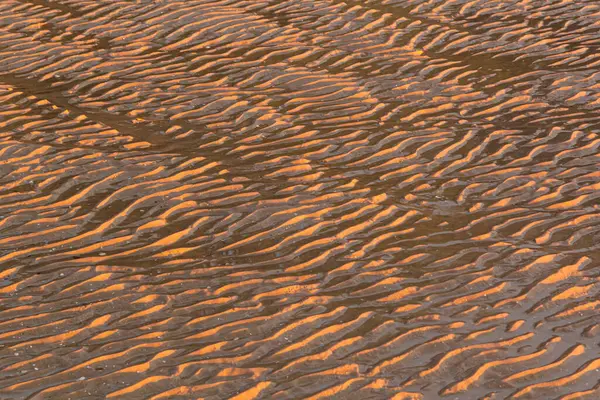 stock image Sand - Waves In The Sand Beach In Backlight - Close Up Texture