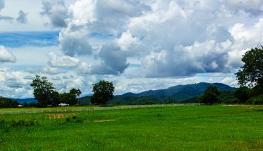 Tepelerdeki yeşil çimlerin ve mavi gökyüzünün arka planı